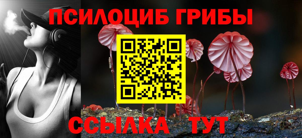 Галлюциногенные грибы MAGIC MUSHROOMS Обнинск