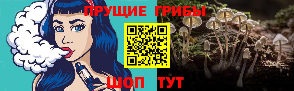 Обнинск  Галлюциногенные грибы Psilocybe  Псилоцибиновые грибы Magic Shrooms  Вход с VPN 